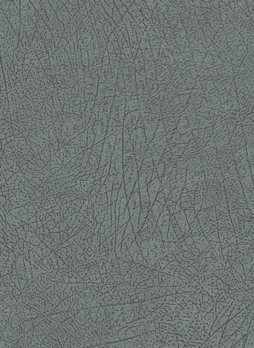 Tapete Skin 5 - 300515