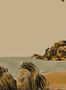 6893_13_Elitis_Hors_Saison_DM_901_01_L13-105079