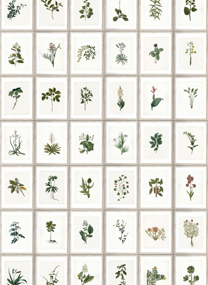 Tapete Botany - WP20153