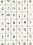 3405_1_mindthegap_botany_wp20153-29431