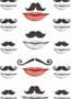 3206_1_mindthegap_moustache-and-lips_wp20084-28696