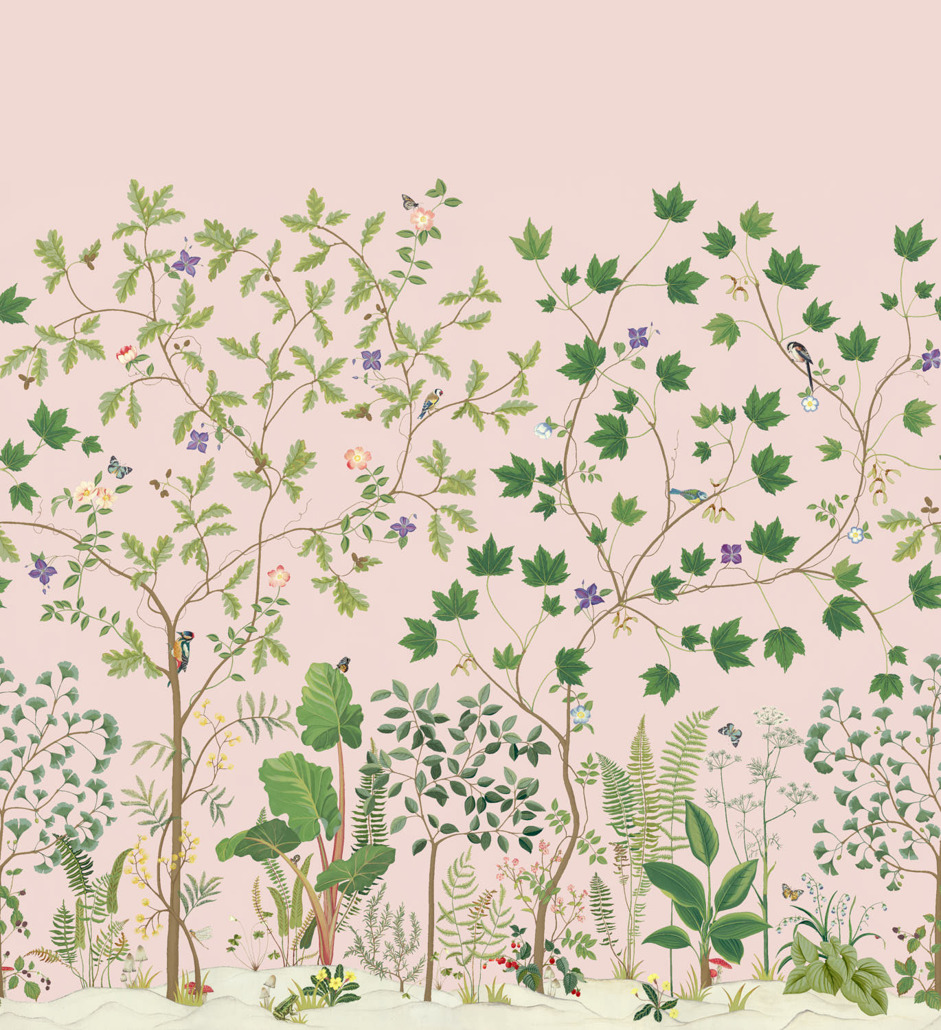 Wandbild Sycamore and Oak - Wild Rose