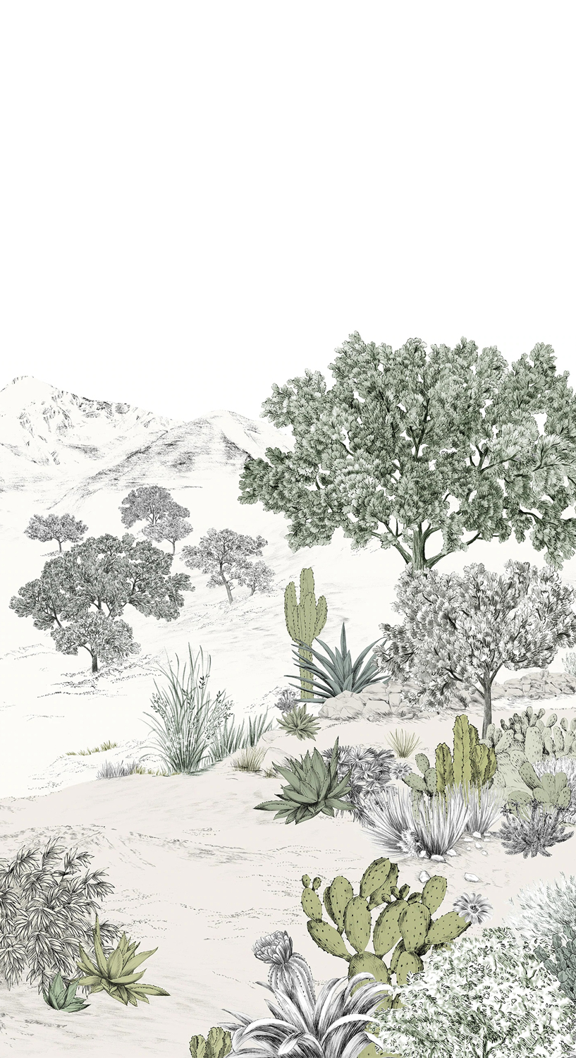 Wandbild Succulentes Naturel - Panel A