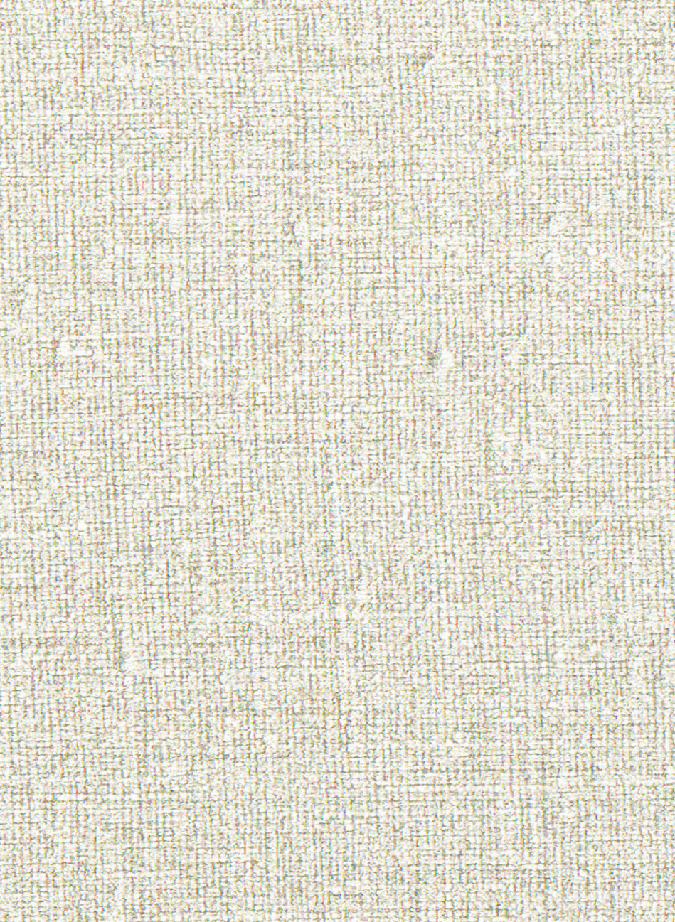 Tapete Lin - VP 953 02