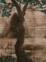 8556-2-Coordonne-Wandbild-Zilant-7900191-73595