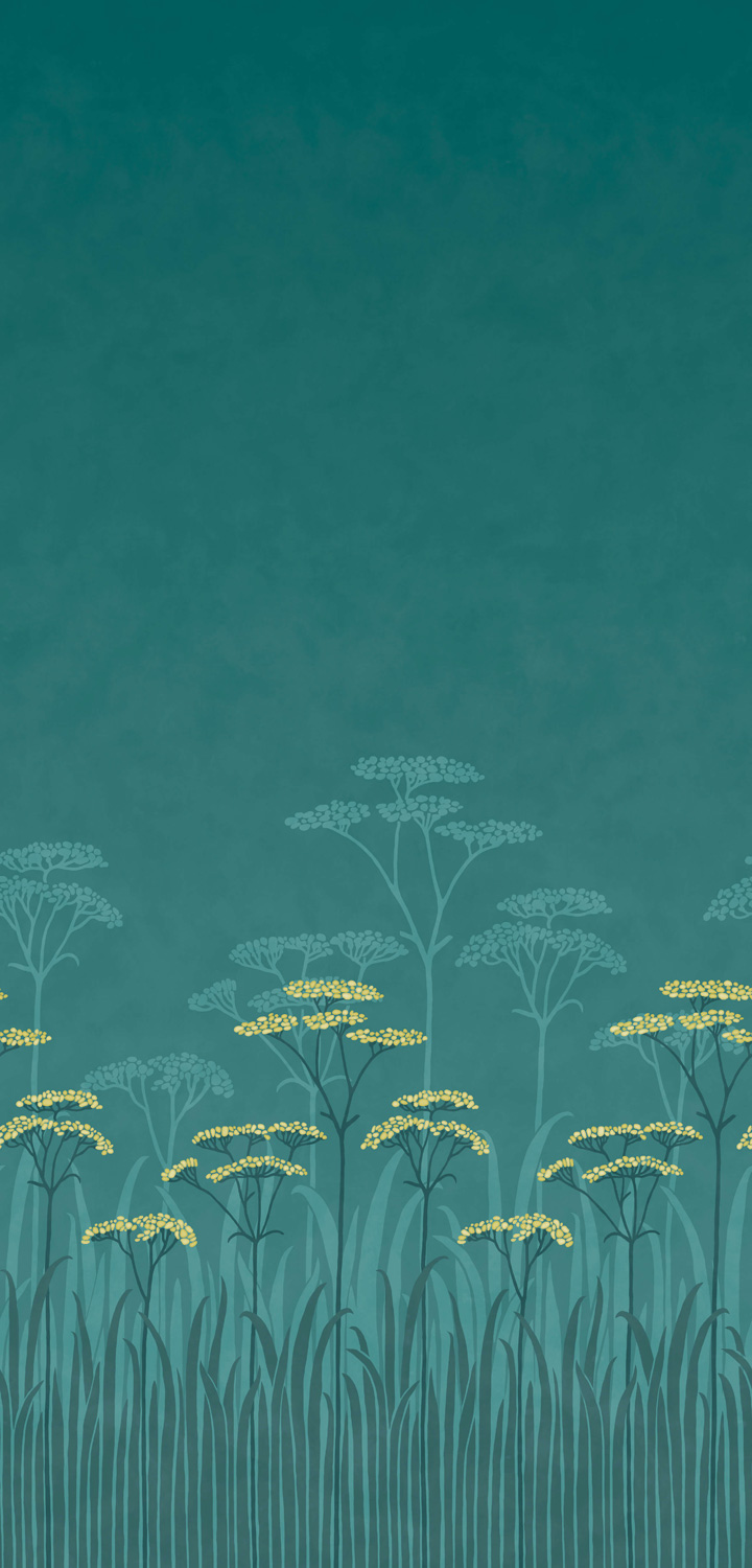 Tapete Achillea - Aurora