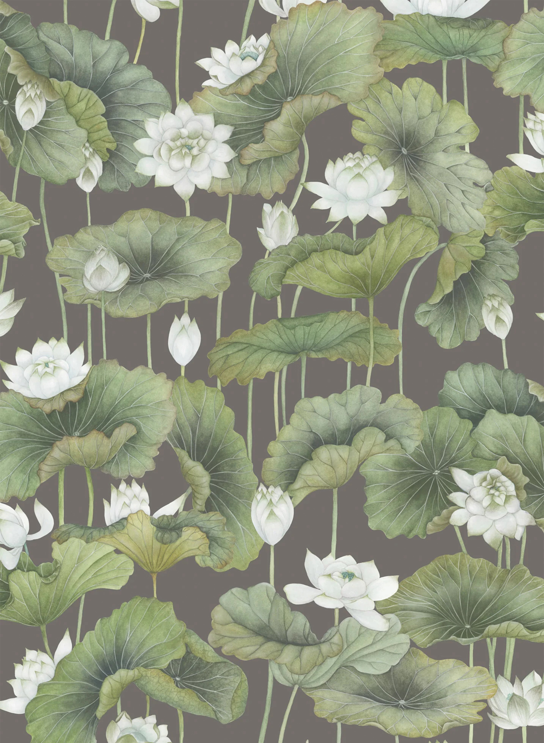 Tapete Lily Lotus - White on Charcoal