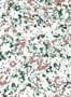 16200_2_Coordonne_Salines_8400081-143425