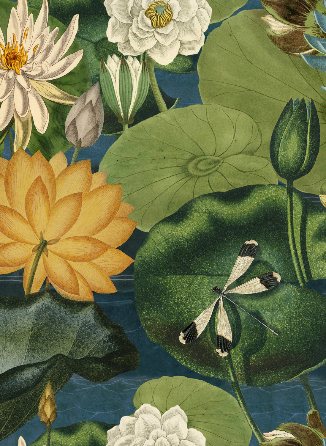 Tapete Lotus Blossom - WP20723