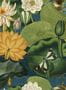 14959_01_Mindthegap_Lotus_Blossom_WP20723-139874