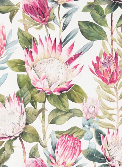 Tapete King Protea - Rhodera/ Cream