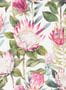 5175_1_sanderson_king-protea_216646-54554