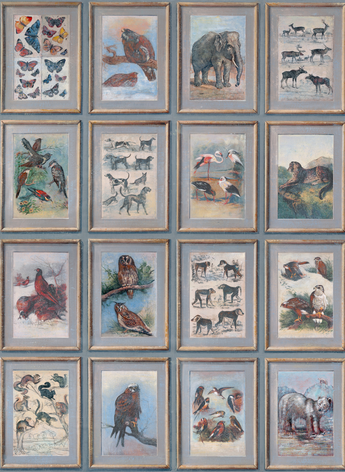 Tapete Zoology - Curazoo