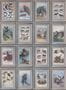 16691_01_Andrew_Martin_Zoology_CURAZOO-198827
