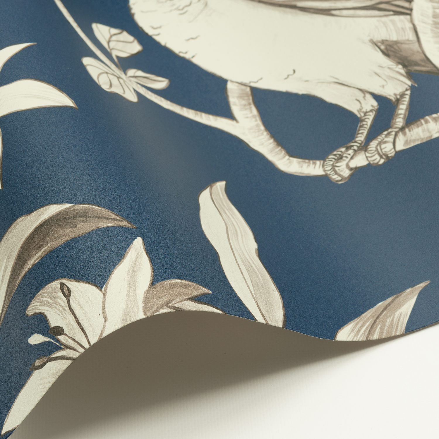 Wandbild Papillons - MHP70