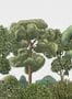 8828_1_Coordonne_Green_Forest_Natural_9700090-80941