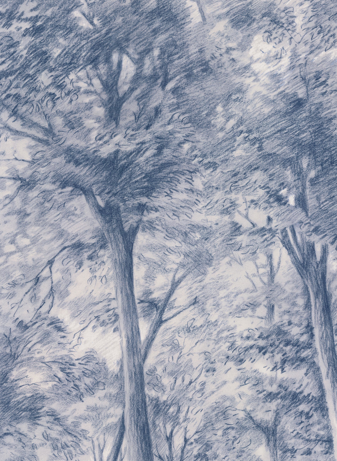 Wandbild Sketch of Trees - 9633W