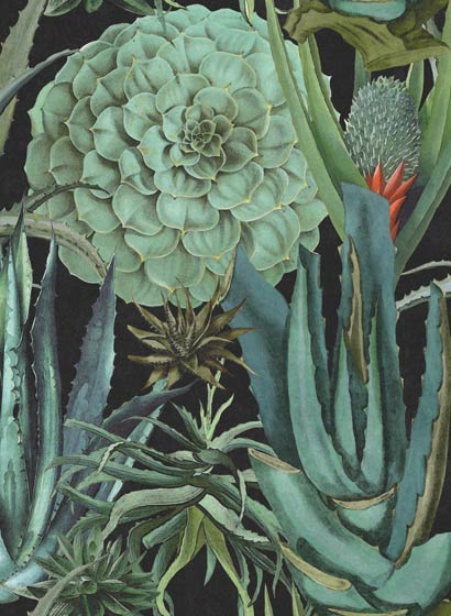 Tapete Succulentus - WP20167