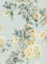 19105_04_Anna_French_Camellia_Garden_AT24552-187378