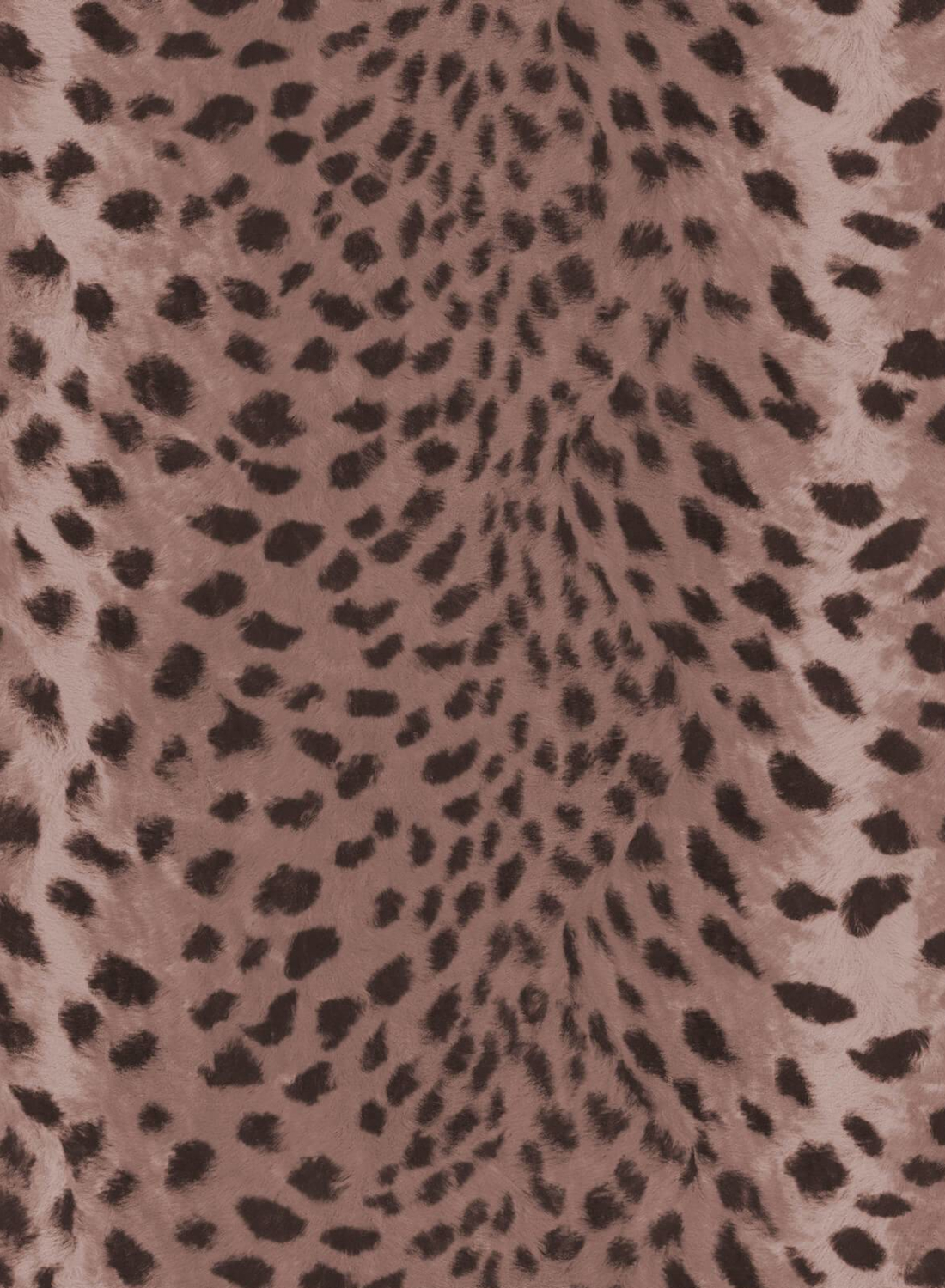Tapete Savanna - Cosmos