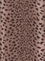 15406_01_House_of_Hackney_Savanna_1-WA-SAV-DI-COS-XXX-188188