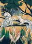 18144_01_Tres_Tintas_Onça_M5301-1-179588