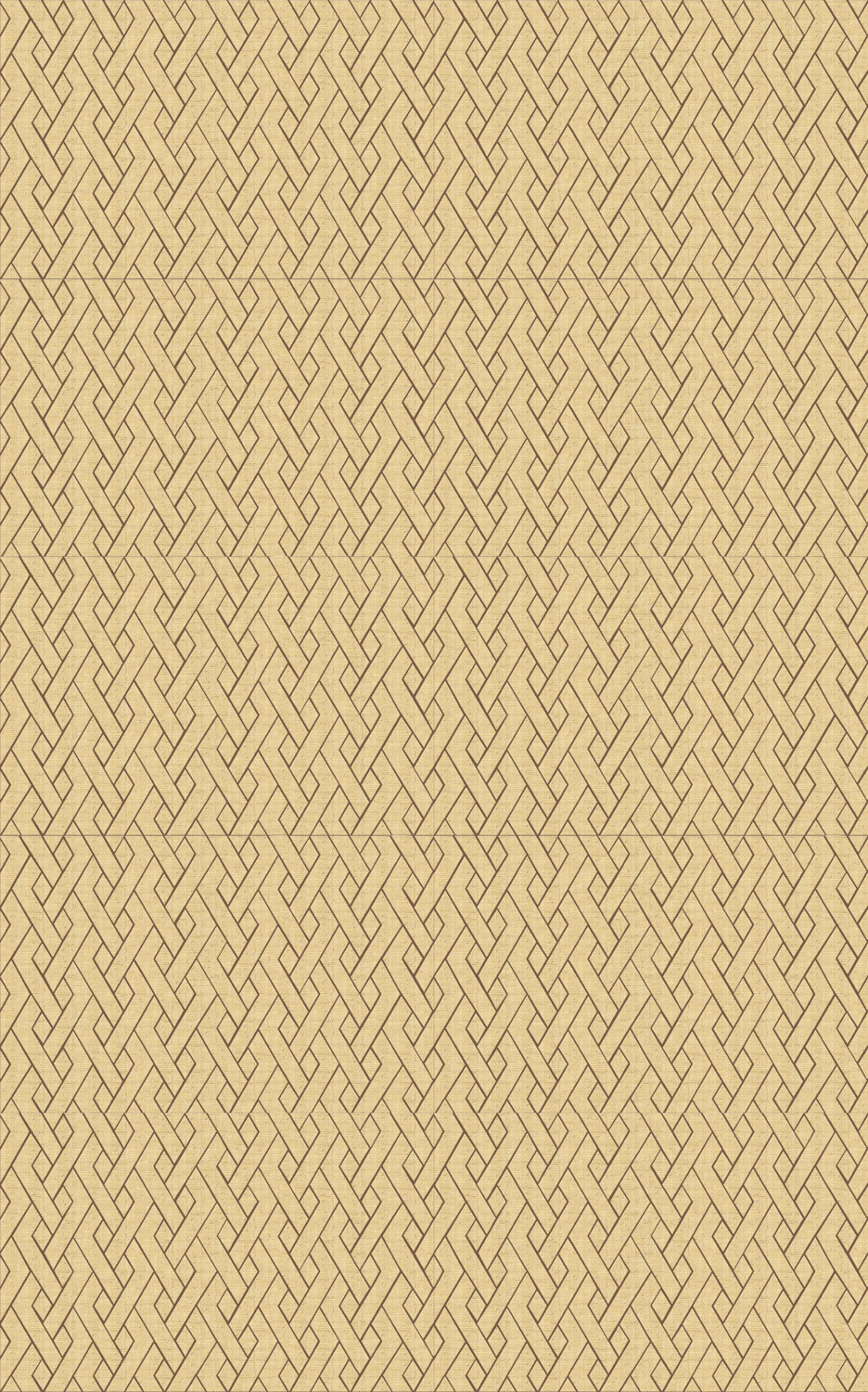 Tapete Entrelazados - RM 1019 04