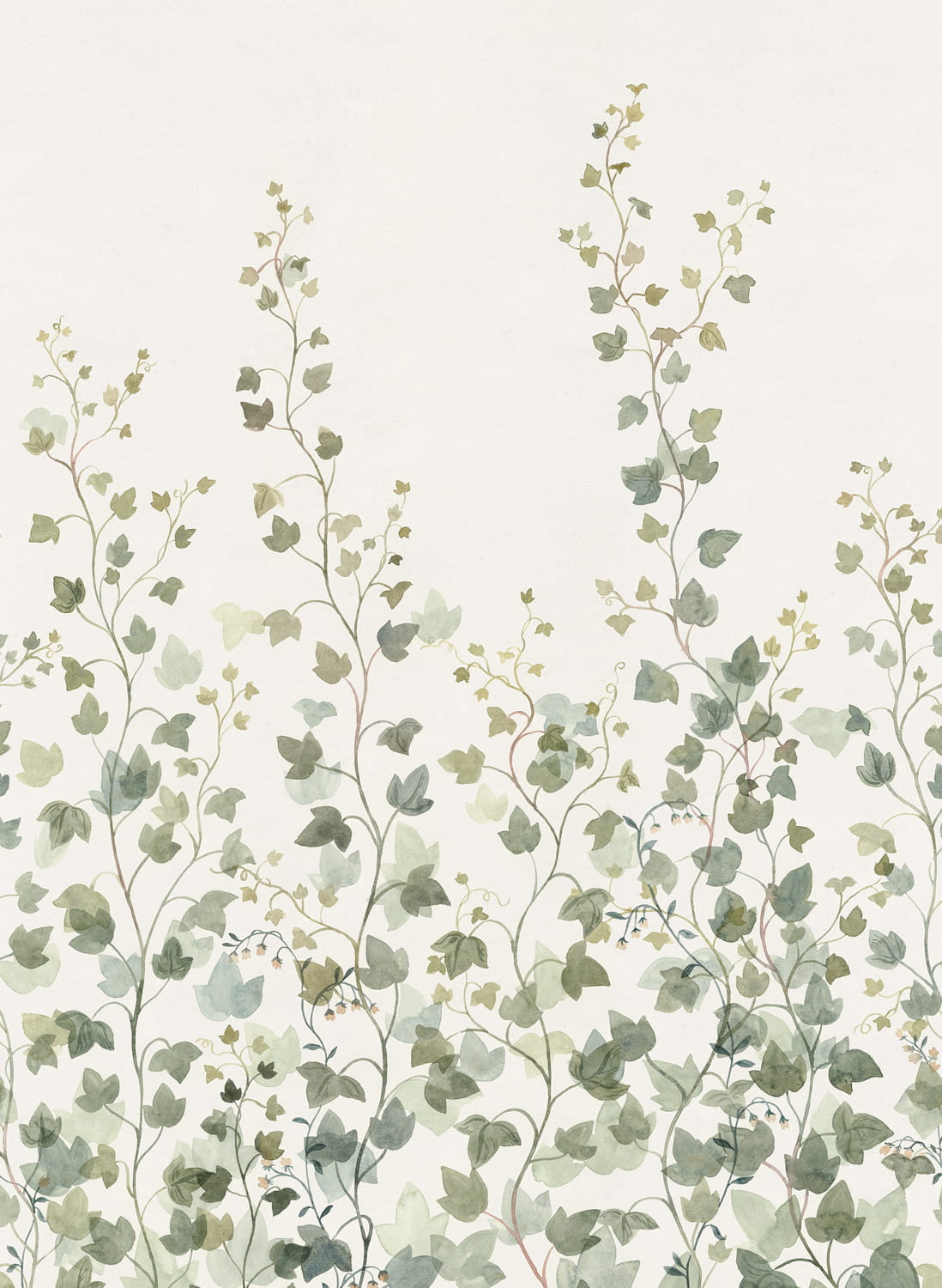 Wandbild Ivy - green