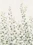 16260_1_Sandberg_Ivy_S10484-141576