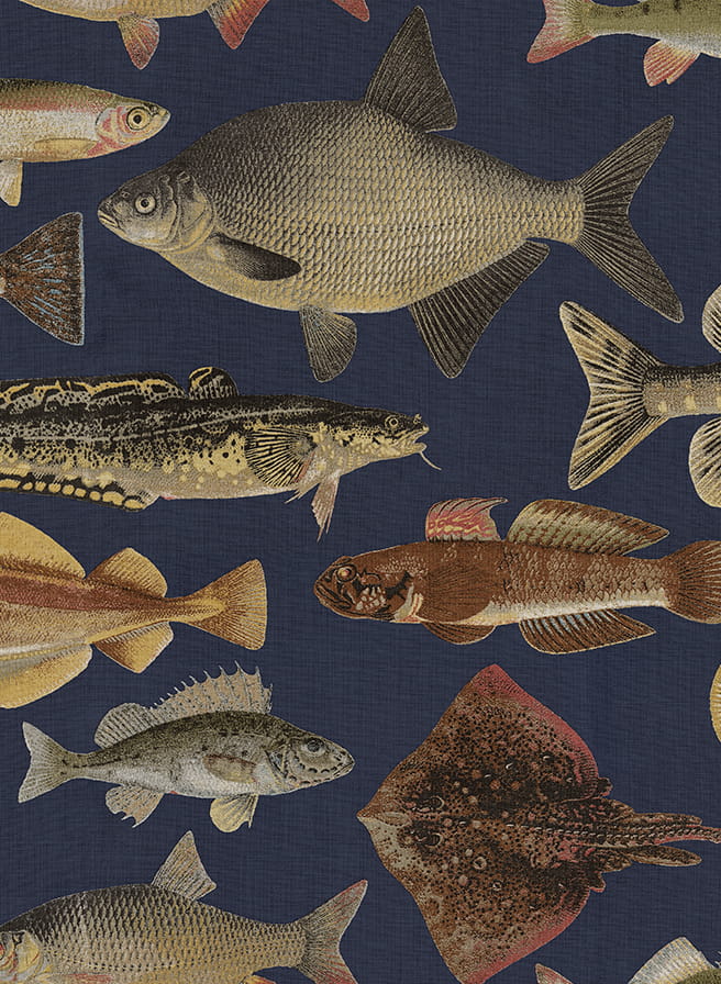 Wandbild Scandinavian Fishes - Dark Blue