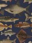 18229_02_Sandberg_Scandinavian_Fishes_S10729-198274