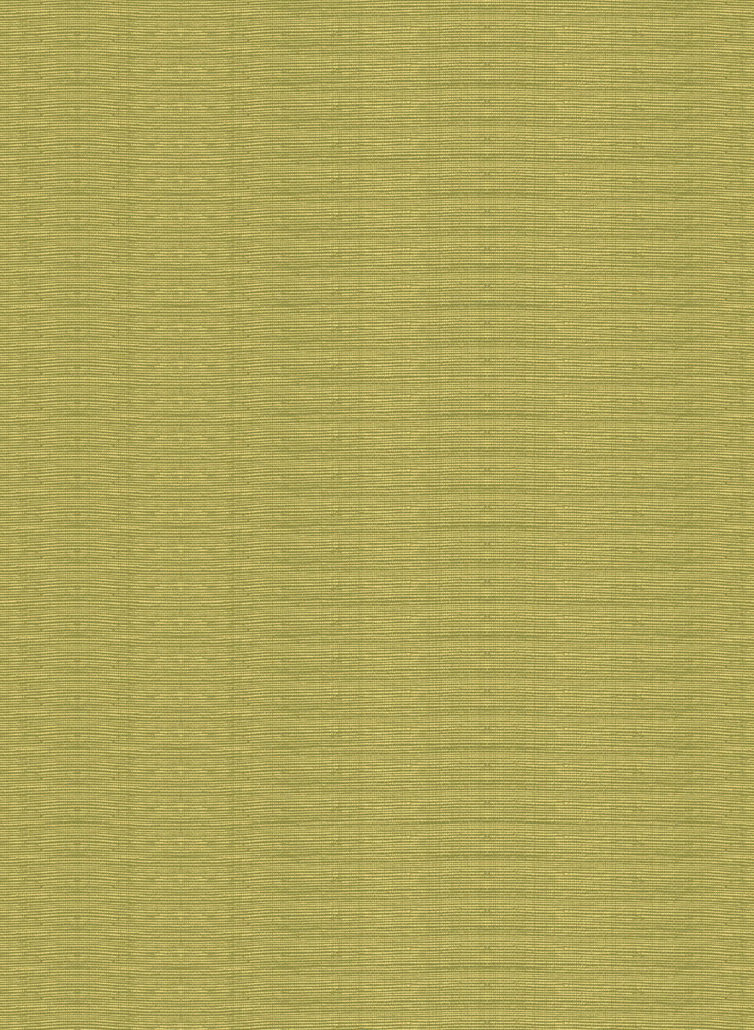 Tapete Line - Gold/ Olive