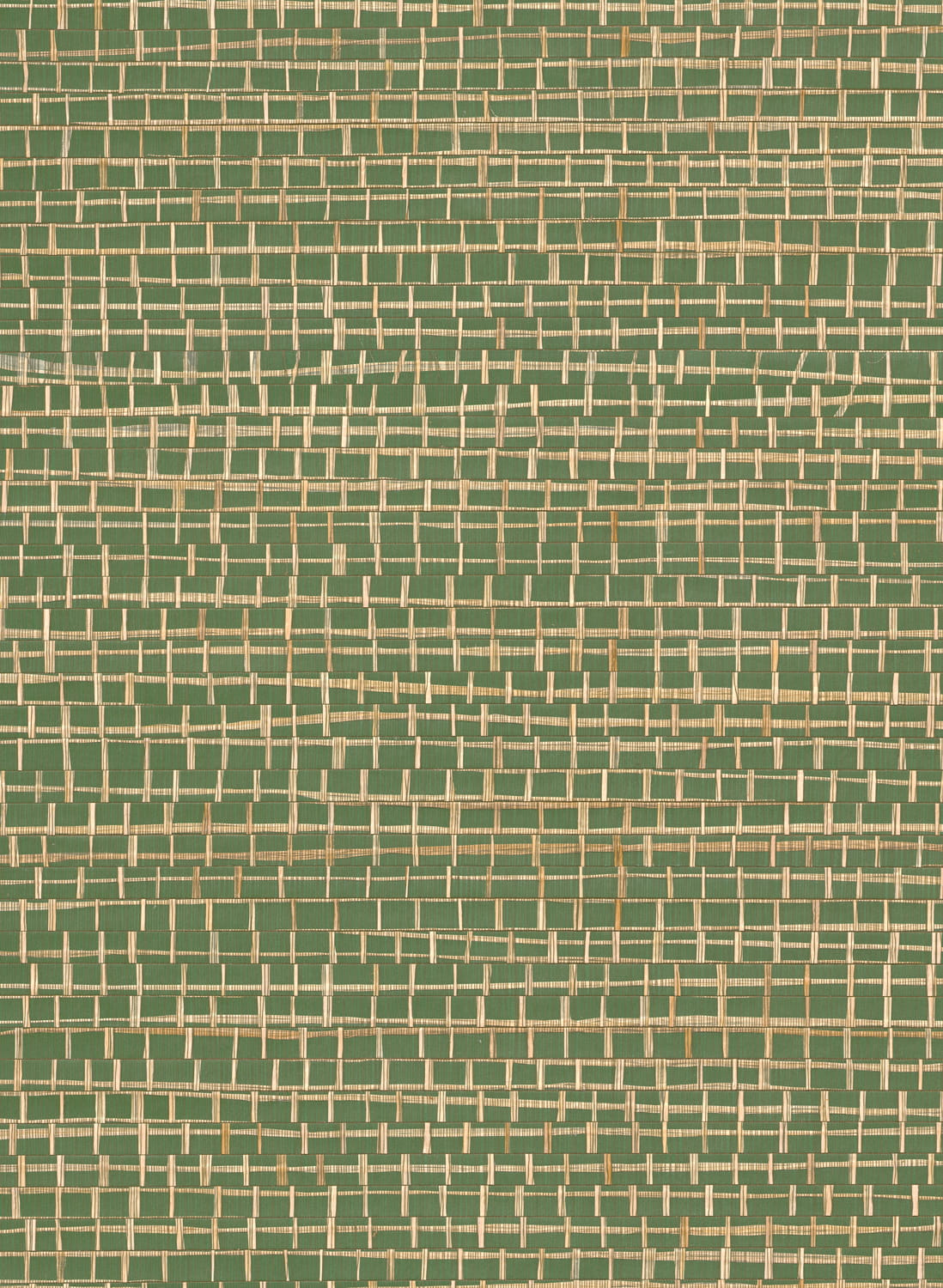 Tapete Ruban - Palmier