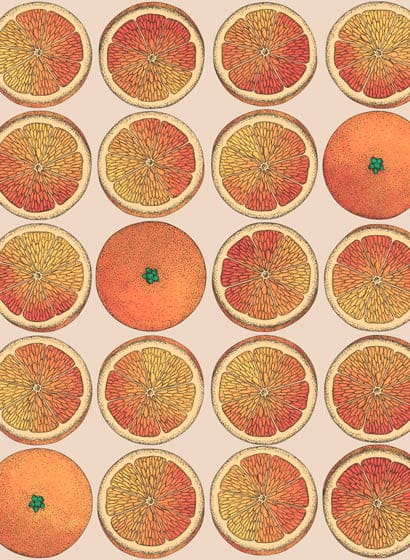 Tapete Arance - Orange and Stone