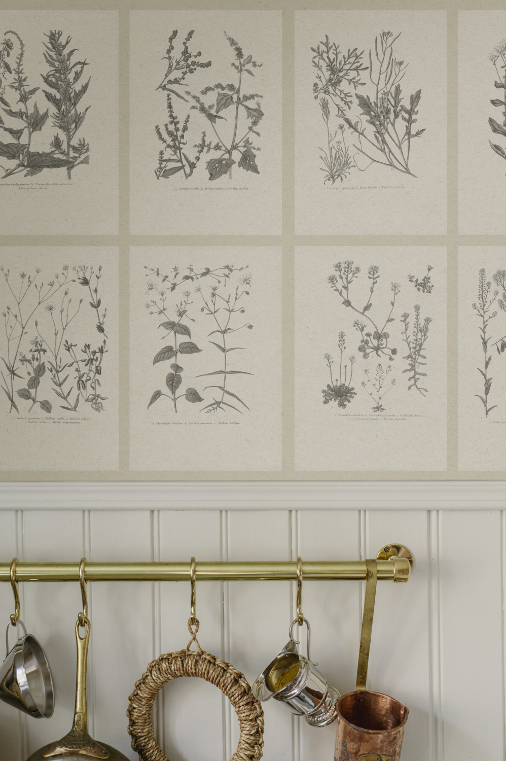 Wandbild Botanica - Graphite