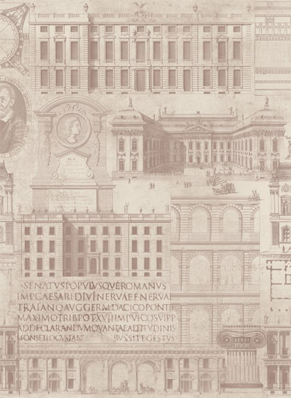 Tapete Vitruvius - WP20028