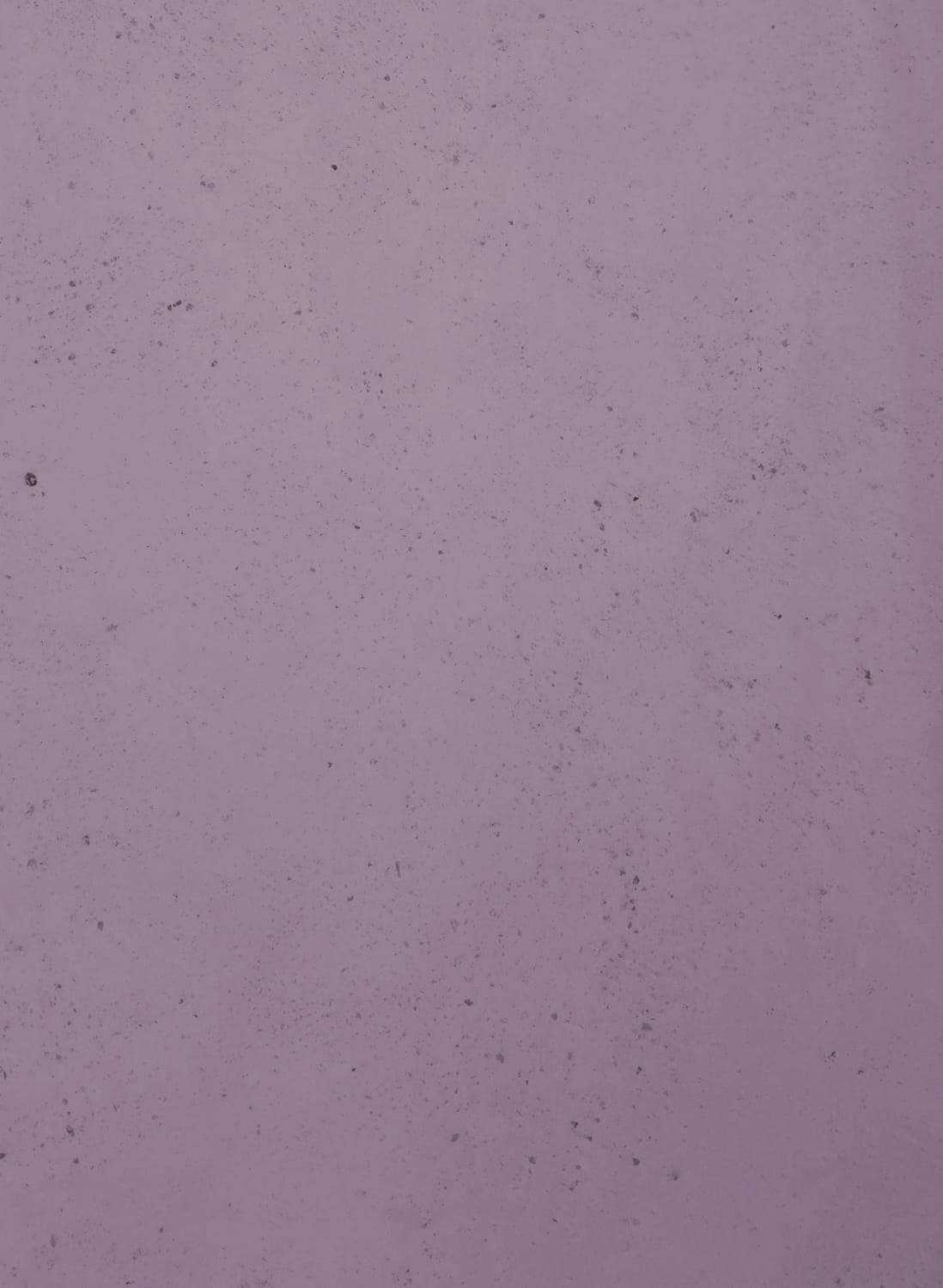Viola - 28