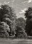 9773_1_Rebel_Walls_Spring_Season_R19218-101577