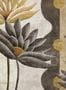 17986_03_Coordonné_Ágaves_C00048-174843