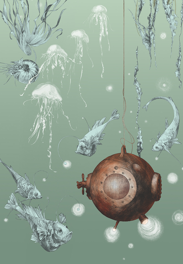 Tapete Nautilus/ Méduses/ Nénuphars - Nautilus droit - Aqua