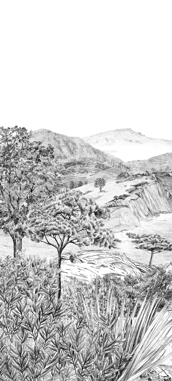 Papier peint Euskadi - Grisaille Panel B