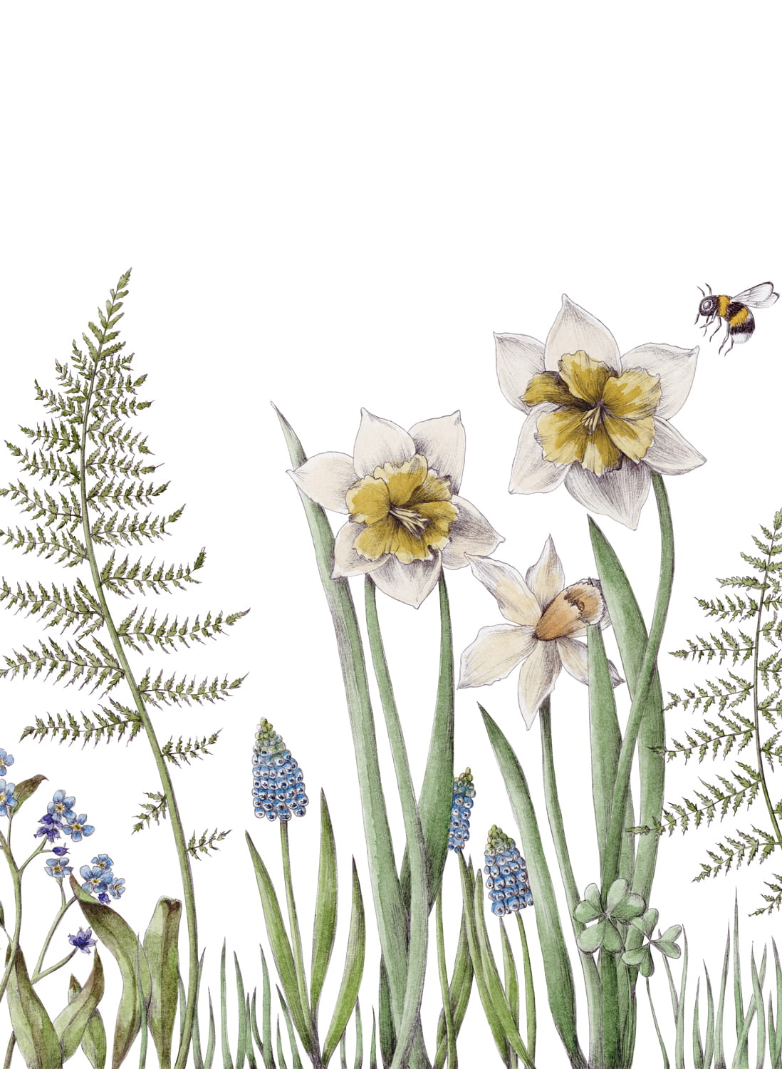 Wandbild Bumblebee - White
