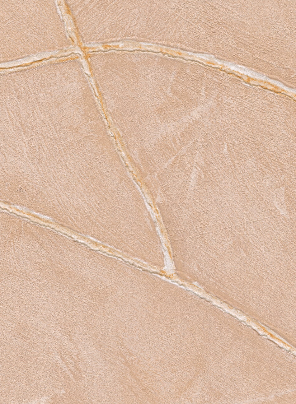 Tapete Kintsugi - VP 1004 11