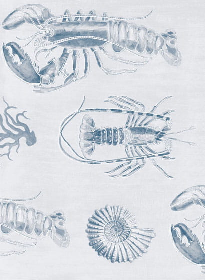 Tapete Lobster - WP20014