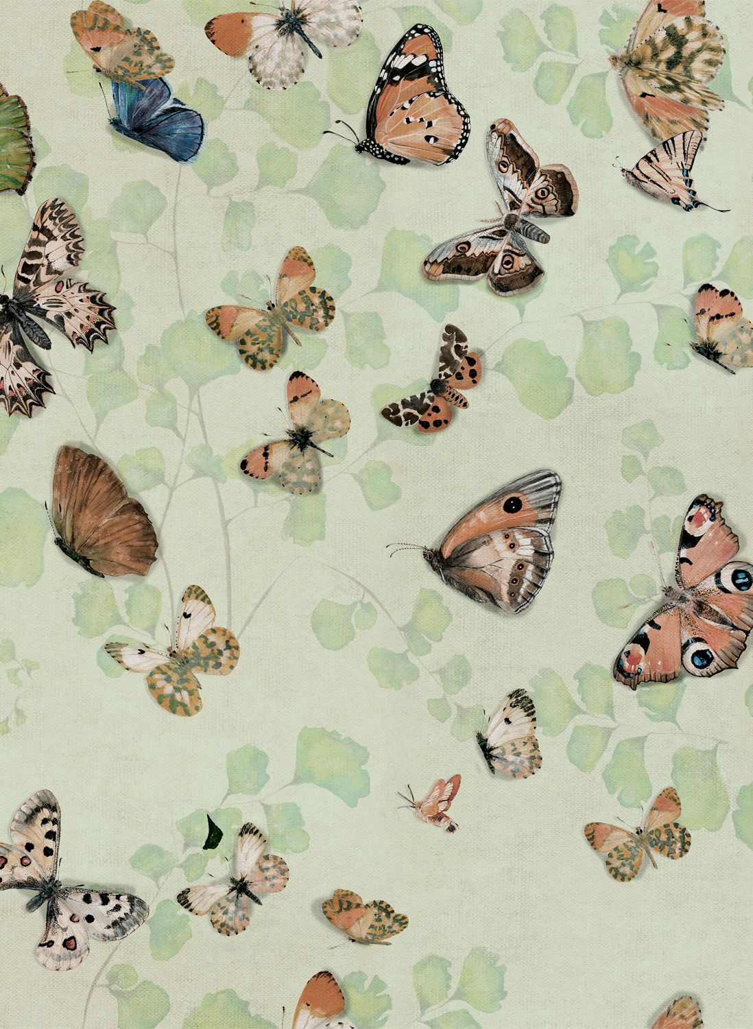 Wallpaper Magic butterflies - Maca