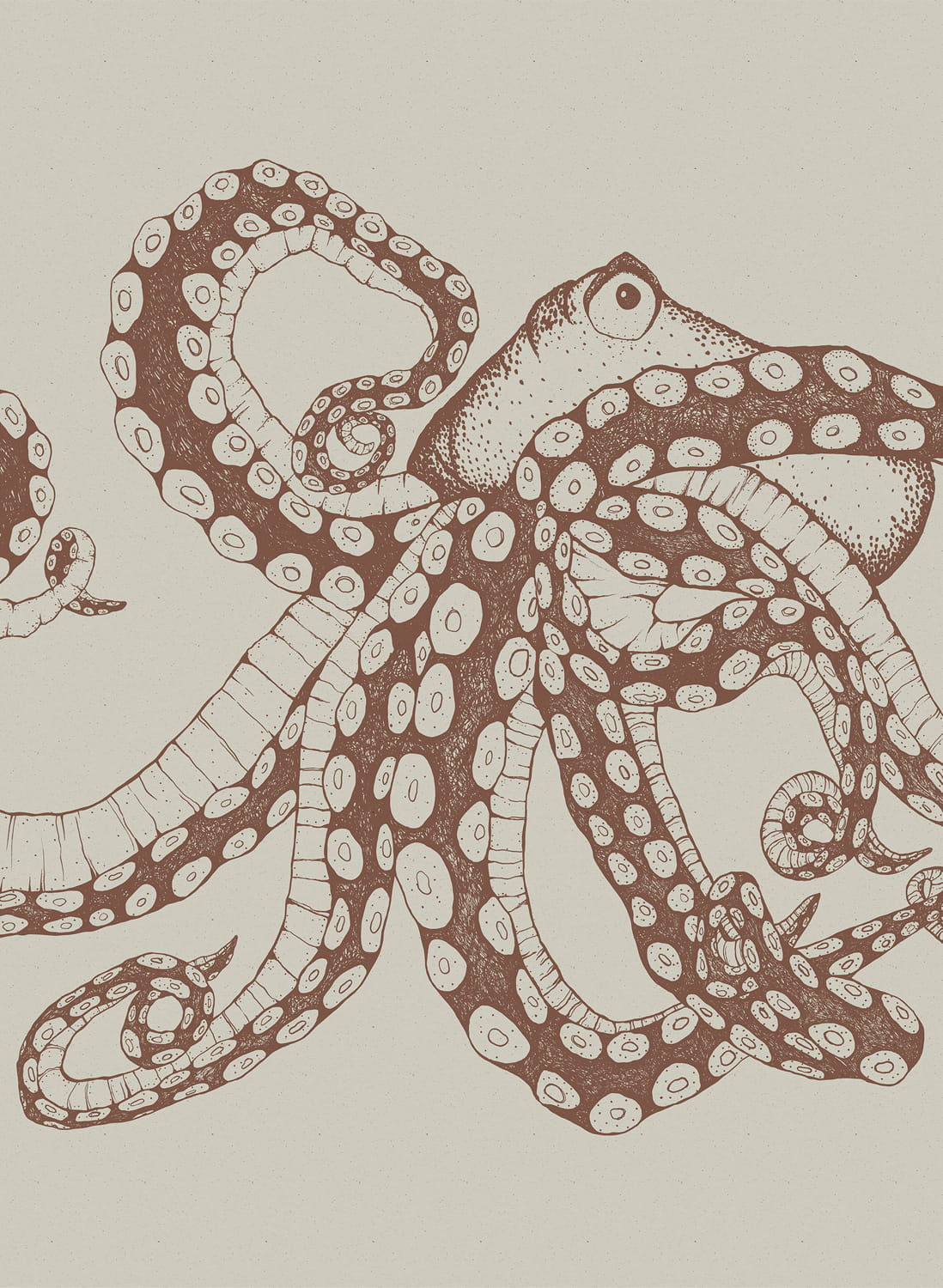 Wandbild Octopus X-Ray - Papirus