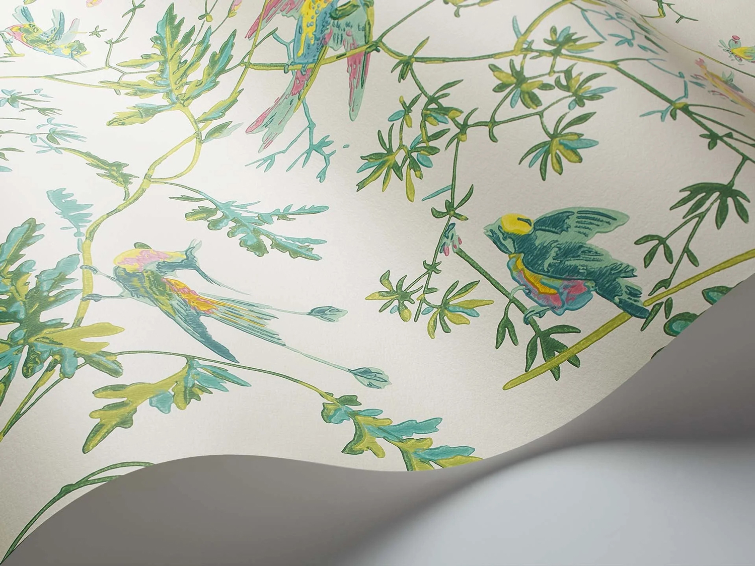 Tapete Hummingbirds - Green/ Pink