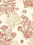 2204_2_little_greene_20th_century_papers_norcombe-24495