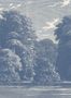 9773_2_Rebel_Walls_Spring_Season_R19219-101589