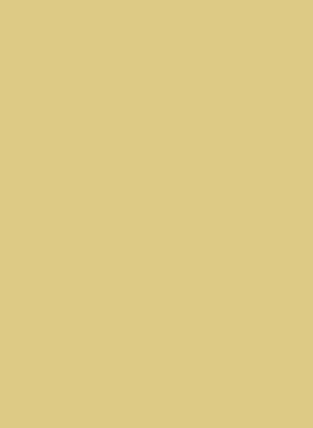 Scallion 519 ASP